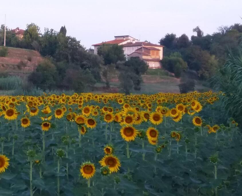 Podere Gian Battaglia ฟูเชคคิโอ ภายนอก รูปภาพ