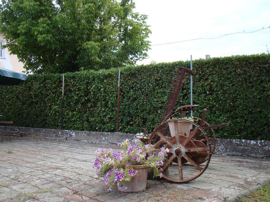 Podere Gian Battaglia ฟูเชคคิโอ ภายนอก รูปภาพ