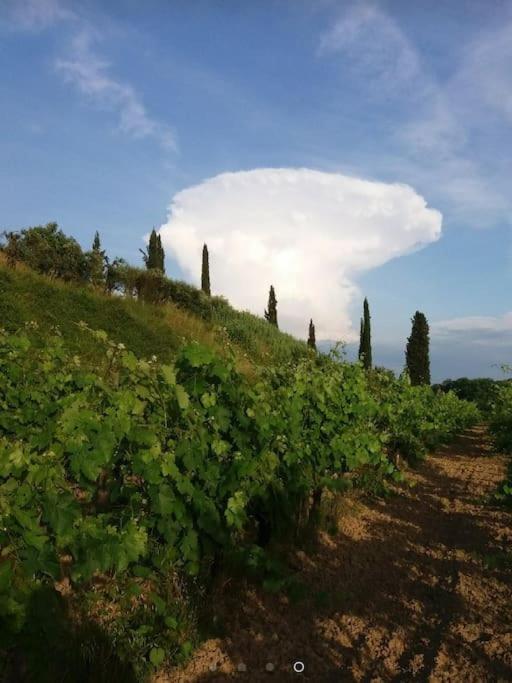 Podere Gian Battaglia ฟูเชคคิโอ ภายนอก รูปภาพ