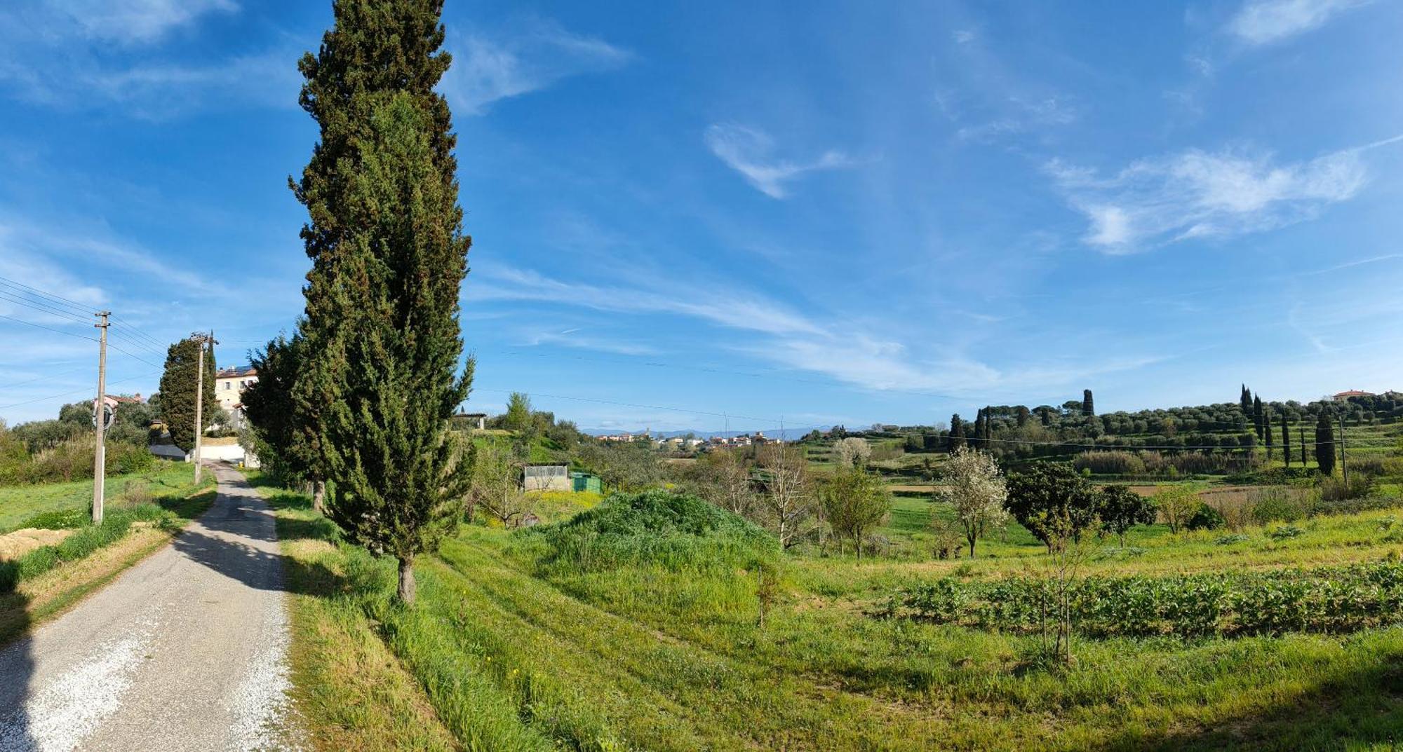 Podere Gian Battaglia ฟูเชคคิโอ ภายนอก รูปภาพ