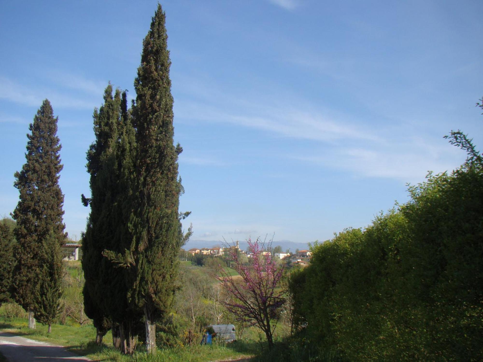 Podere Gian Battaglia ฟูเชคคิโอ ภายนอก รูปภาพ