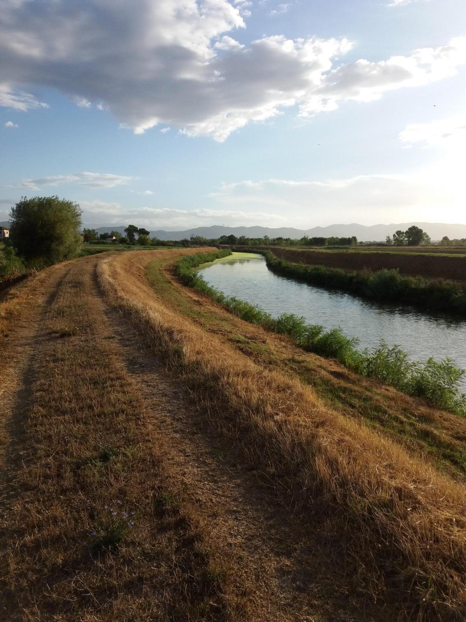 Podere Gian Battaglia ฟูเชคคิโอ ภายนอก รูปภาพ