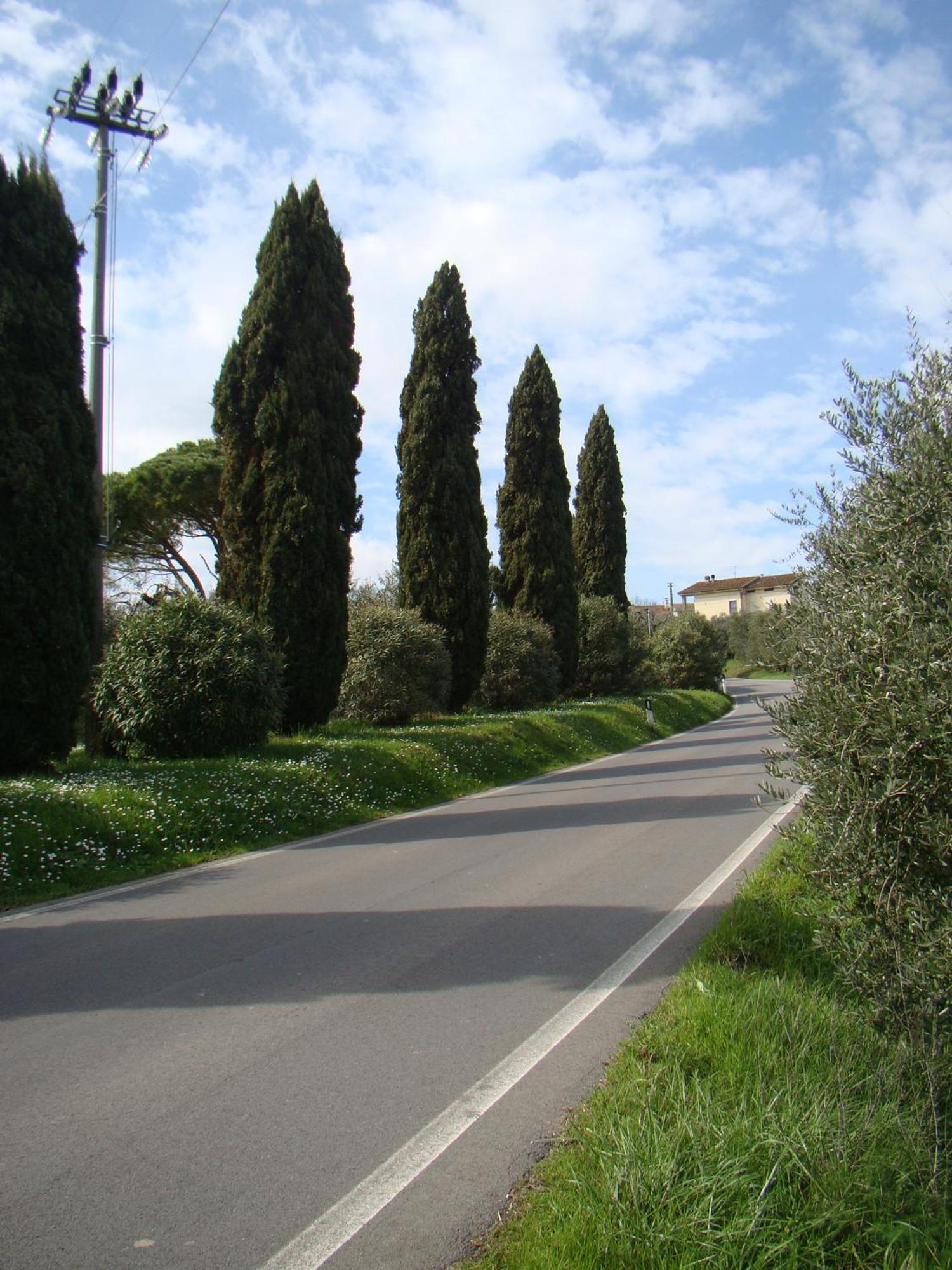 Podere Gian Battaglia ฟูเชคคิโอ ภายนอก รูปภาพ