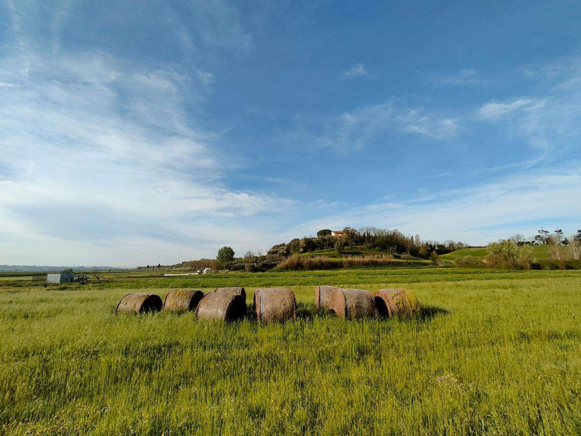 Podere Gian Battaglia ฟูเชคคิโอ ภายนอก รูปภาพ