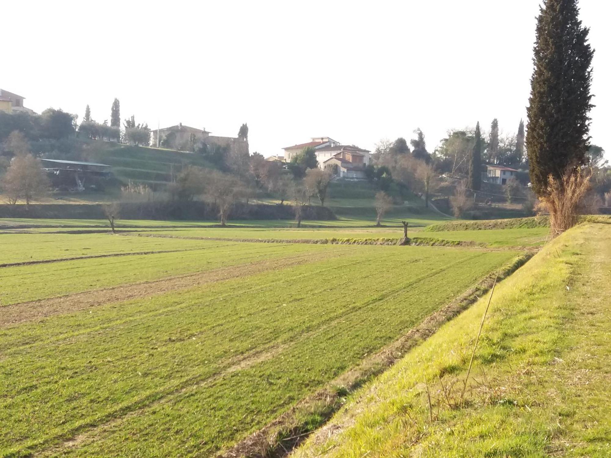Podere Gian Battaglia ฟูเชคคิโอ ภายนอก รูปภาพ