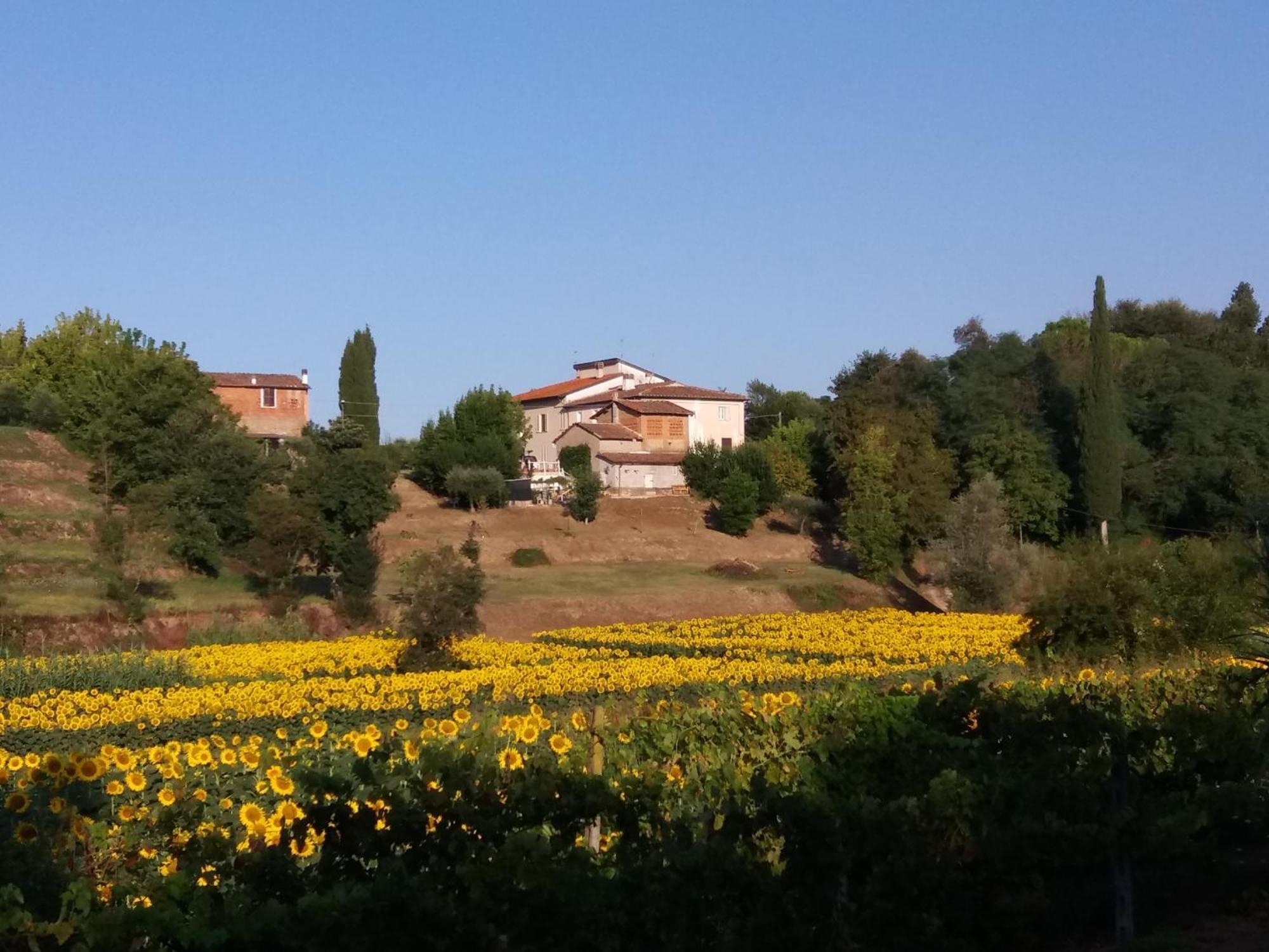 Podere Gian Battaglia ฟูเชคคิโอ ภายนอก รูปภาพ