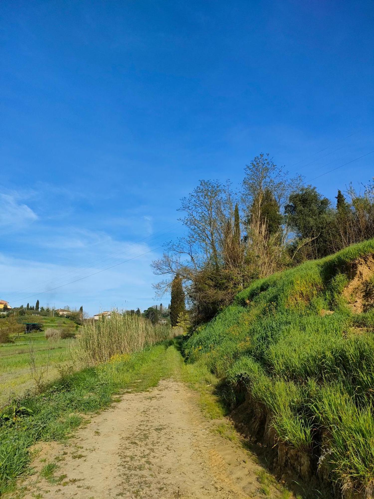 Podere Gian Battaglia ฟูเชคคิโอ ภายนอก รูปภาพ