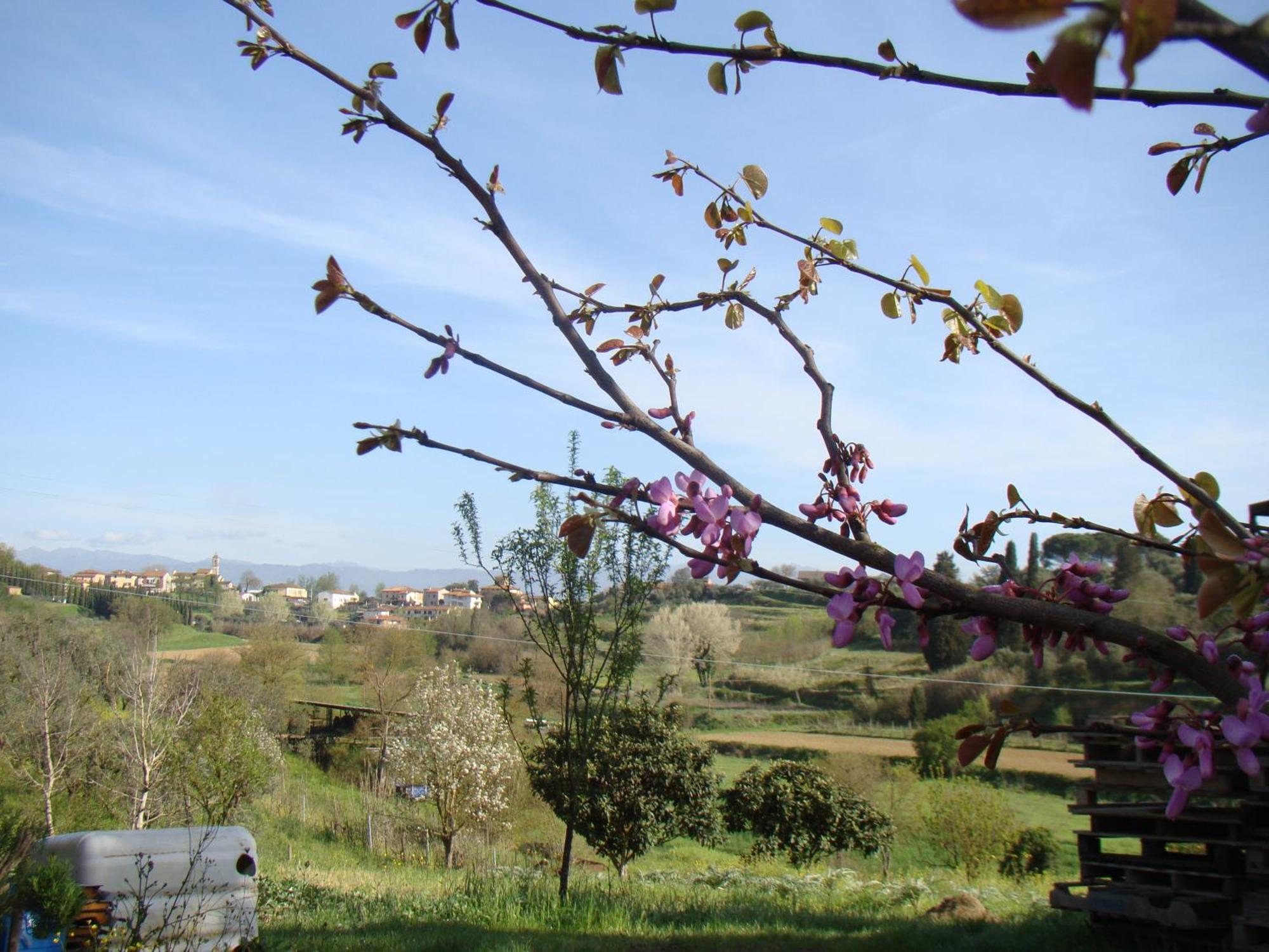 Podere Gian Battaglia ฟูเชคคิโอ ภายนอก รูปภาพ