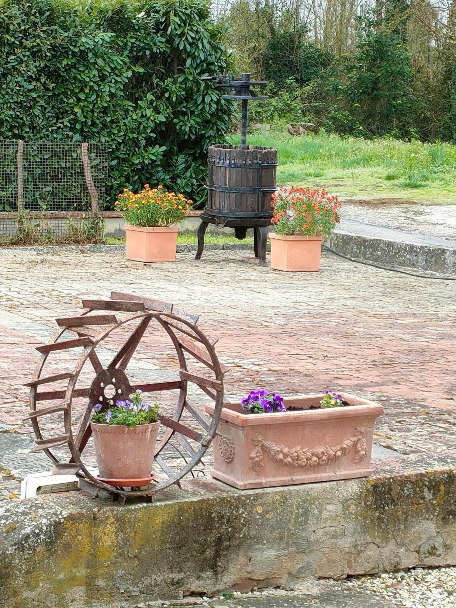 Podere Gian Battaglia ฟูเชคคิโอ ภายนอก รูปภาพ